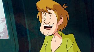 Image result for shaggy