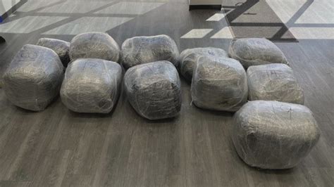 450 of 600 pounds of marijuana stolen from Colorado State Patrol is ...