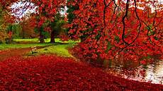 Fall Backgrounds Computer by Fall Desktop Wallpapers Backgrounds 183 Wallpapertag Fall Backgrounds Computer