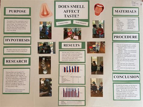Science Fair Examples 的图像结果