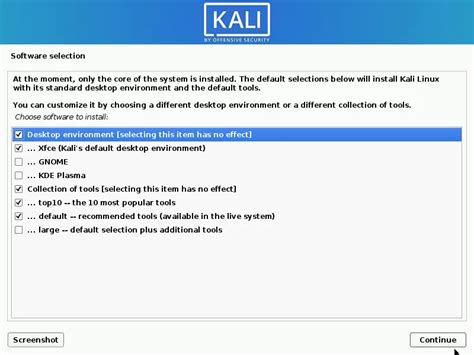 Image result for Kali Linux Install Selection