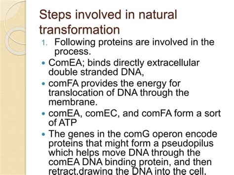 DNA Transformation Class 12 的图像结果