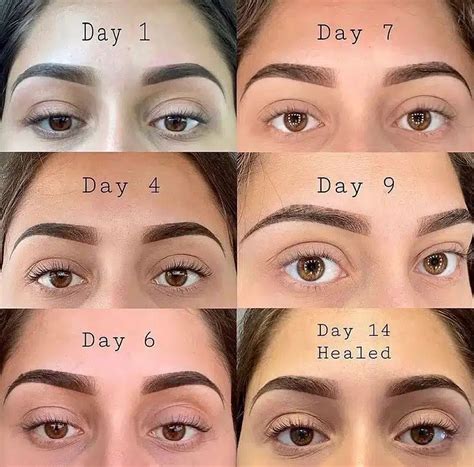 Image result for Microblading Process Tutorial Cninese