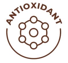 National Science Research Center