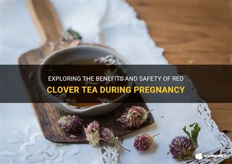 Exploring The Benefits And Safety Of Red Clover Tea During Pregnancy ...