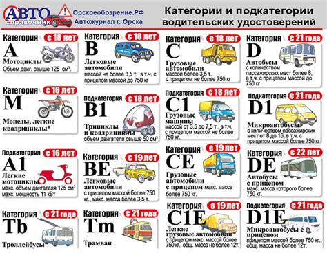 Категория е 2024