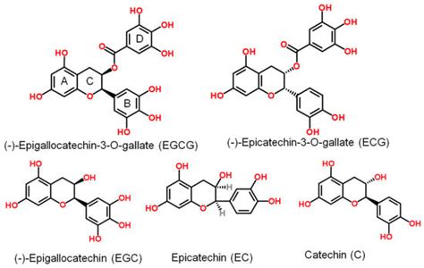 A Review of the Antiviral Role of Green Tea Catechins