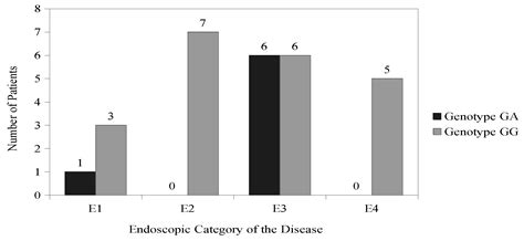 The Role of Vitamin D and Vitamin D Receptor Gene Polymorphisms in the ...