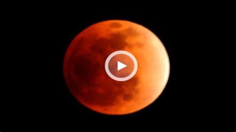 罕见月全食8日将登场 澳大利亚可观赏红月亮(图)_新浪新闻