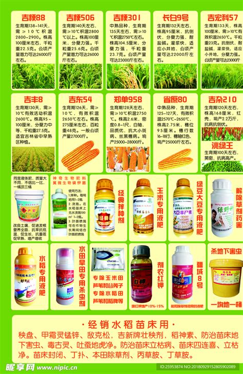 种子化肥农药宣传单设计图__DM宣传单_广告设计_设计图库_昵图网nipic.com