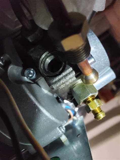 Image result for Tiger Loop Problems