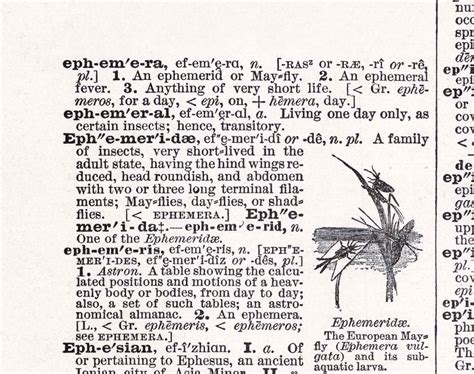 How to Say and Pronounce Ephemera and It's Meaning | Resalvaged