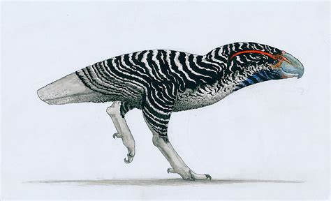 Alien Bird Evolution 的图像结果