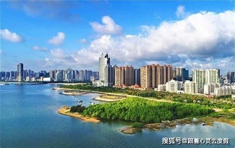 湛江深入实施"五大产业发展计划"：在高质量发展道路上跑出"湛江速度"