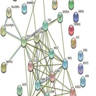 Image result for STRING Protein Interactions
