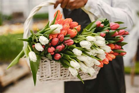 Flower Bouquet - Bonneville County Fairgrounds
