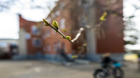 Image result for Spring Course