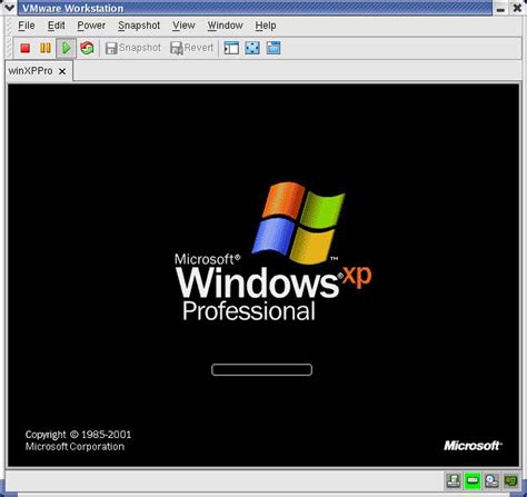 VMware Windows NT 的图像结果