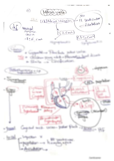 SOLUTION: Mitral valve diseases - Studypool