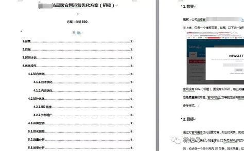 白杨SEO案例第6篇：如何思考写一份网站建设SEO优化方案?以苏州阳澄湖蟹为例