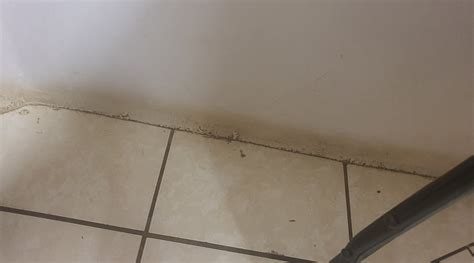 THE VINE GUEST HOUSE IN LEPHALALE - Specialty Hotel Reviews & Photos ...