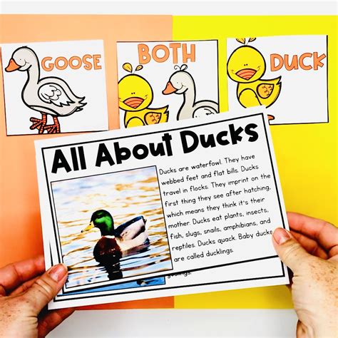 Image result for Reading Lesson Grade 1