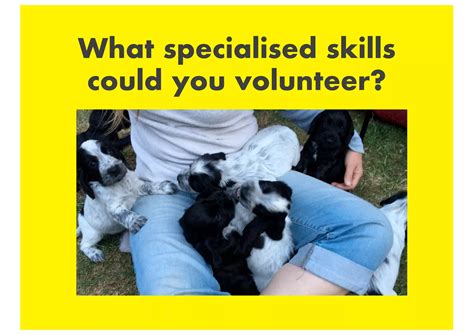 Volunteering Work Examples 的图像结果