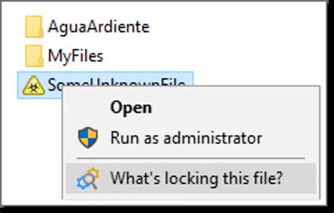 Image result for Unlock Files with Unlocker Software