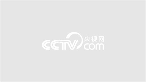 中国网络电视台博客五周年 央视主播齐给力