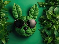 Image result for Bunny Loaded Tea