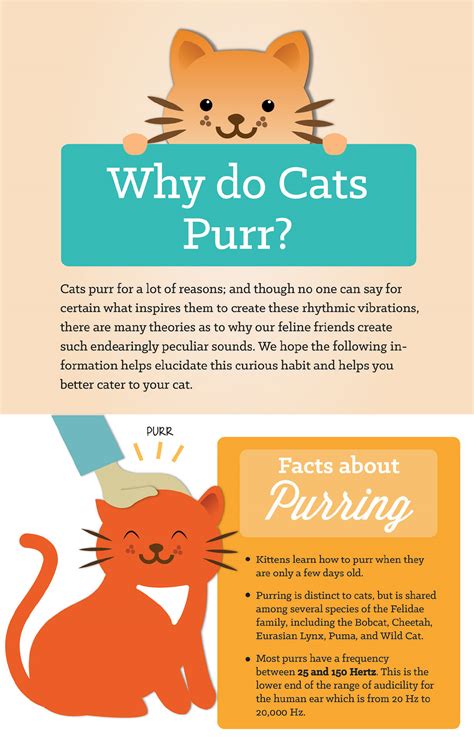 Why Do Cats Purr? on Behance