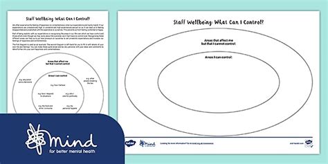 FREE! - Areas I Can Control Staff Activity | Staff Wellbeing Diagram