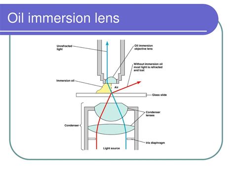 How To Oil Immersion Microscope at Raymond Eudy blog