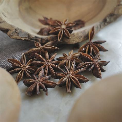 Star Anise Profile | Everything You Need to Know