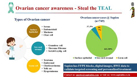 October is Ovarian cancer awareness month also – Sapien Biosciences
