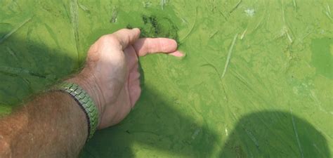 Image result for Clean Water