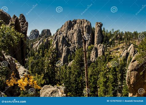 Awesome Mountain Landscape at Blackhills National Forest , South Dakota ...