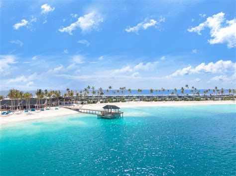 Joy Island - The Cocoon Collection