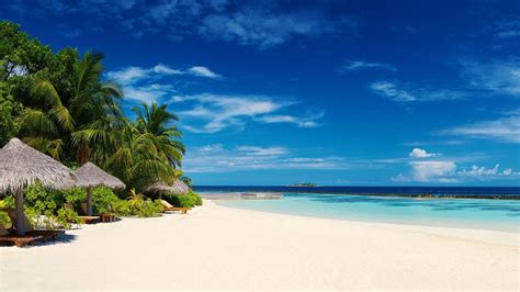 Image result for Virtual Beach Background