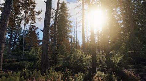 Image result for Ram Priority Rust Command