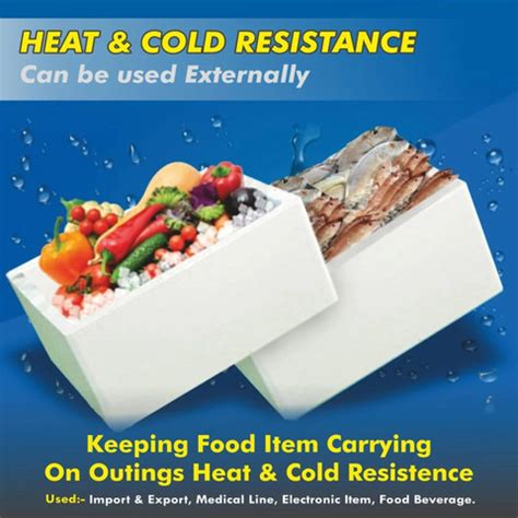 EITPL E-KOOL Ice Box for Multipurpose Use - Portable Cooler for Picnic ...