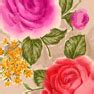 K.Ravidesigns - Fashion Print Designer & T-Shirt Manufacturer
