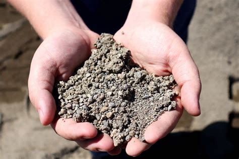 Image result for Fill Sand