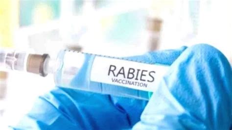 പേവിഷ മരണം: ചികിത്സാ പിഴവല്ല- കെ.ജി.എം.ഒ.എ - KERALA - GENERAL | Kerala ...