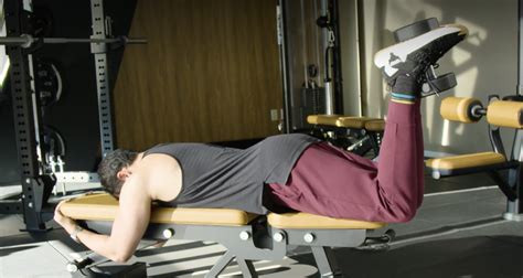 Dumbbell Hamstring Curl