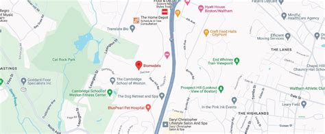 Image result for Bio Models