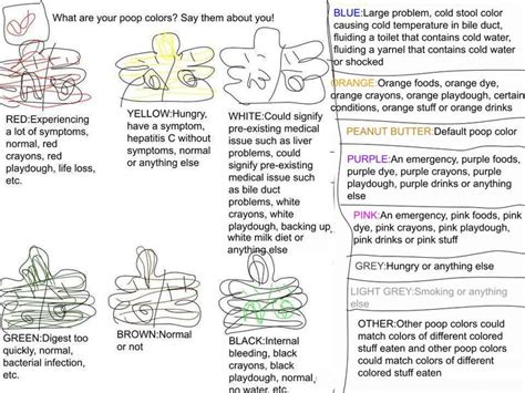 Chart of Causes for Poop Colors in Humans