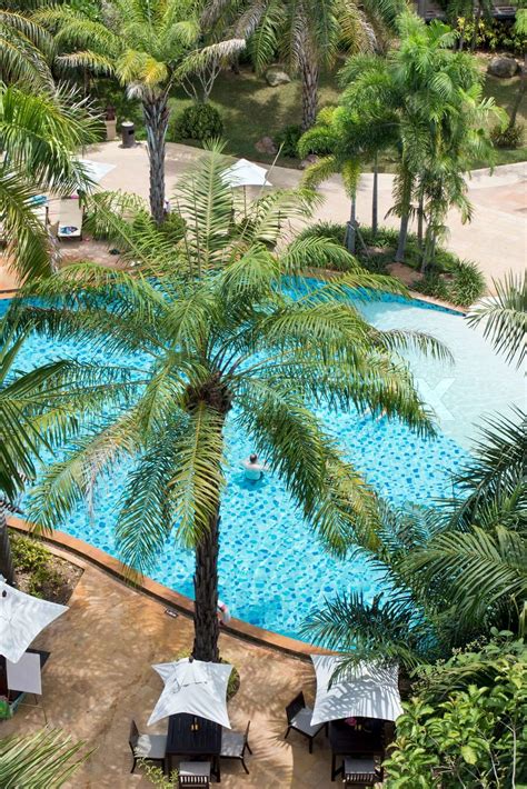 Swimming Beach 的图像结果