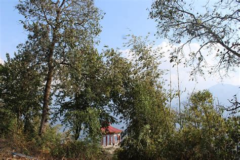 GRACE HOMESTAY (Sikkim) - B&B Reviews & Photos - Tripadvisor