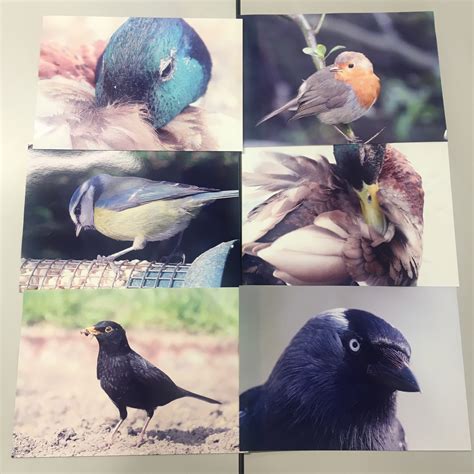 Nature Journals 的图像结果